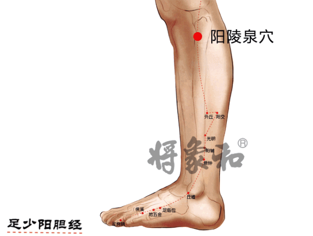 640_484gif 动态图 动图
