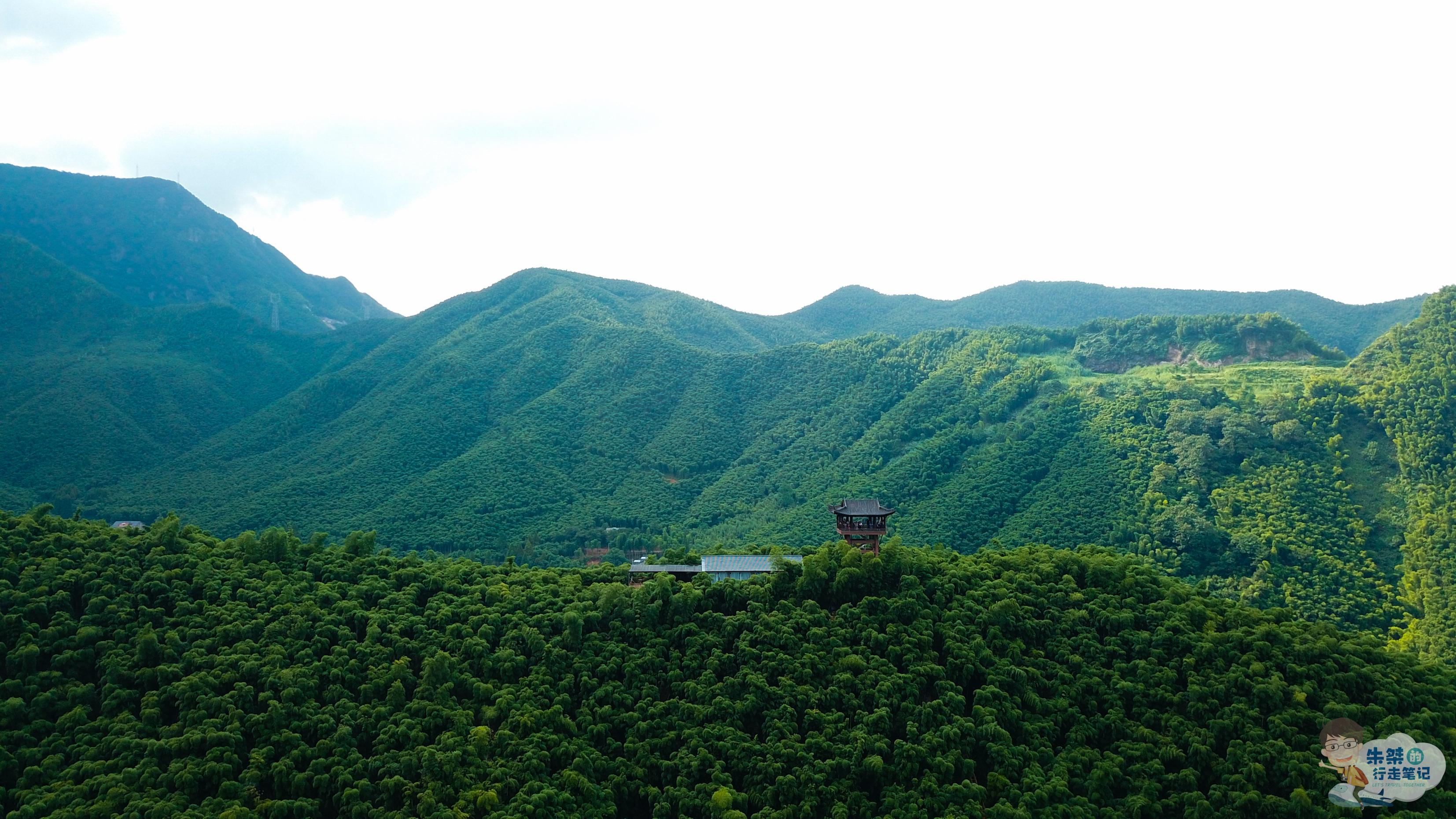 华东最著名的两处竹海,一处名字说明问题,一处号称中国最美竹海