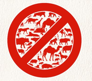 禁止捕杀动物的标志图片