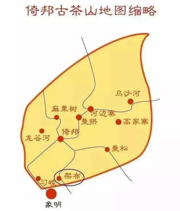 干货分享念念不忘必有回响的倚邦古树茶