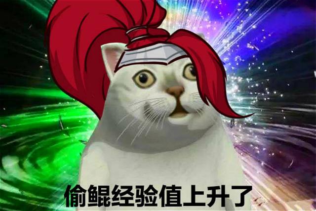 《王者荣耀》妲己被憨憨猫吸粉,化身污妖王玩坏诸葛亮?_表情