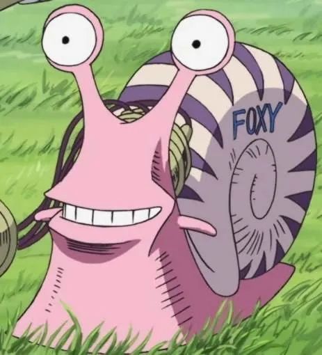 海贼王中神秘的通讯工具电话虫