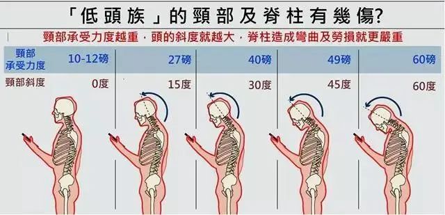 「二分之一」颈枕的后颈部,采用了平整的设计,贴合颈椎胸椎曲线.