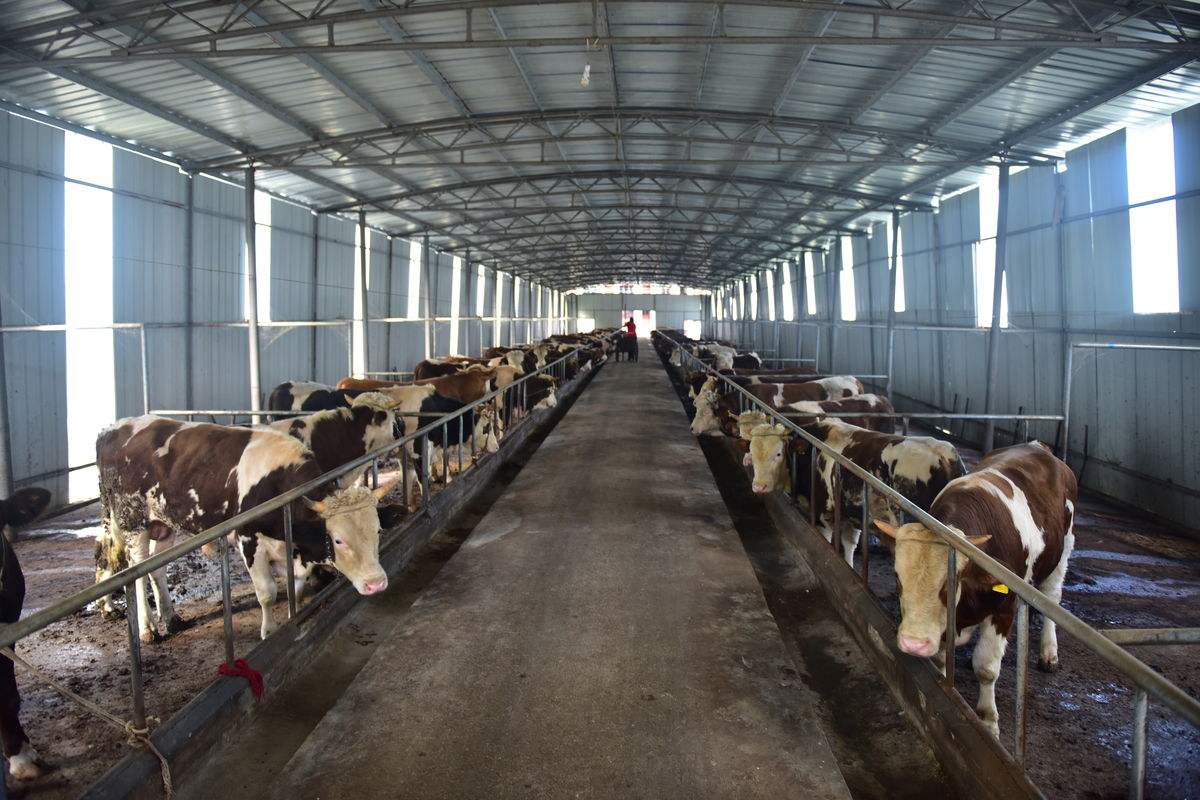 原创复工后迎来第一轮涨价这几样东西对你影响深远你的钱够花吗