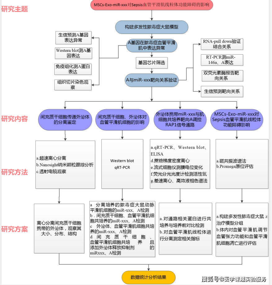 國自然6大經典高分技術路線圖流程分享讓你的基金申請脫穎而出