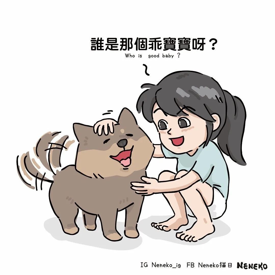为什么猫主子有时候非常粘人?原来是这样