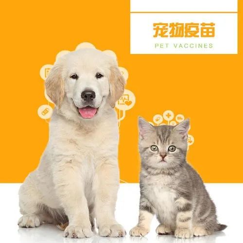 柳州家禽养殖业：绿色产业的活力与挑战