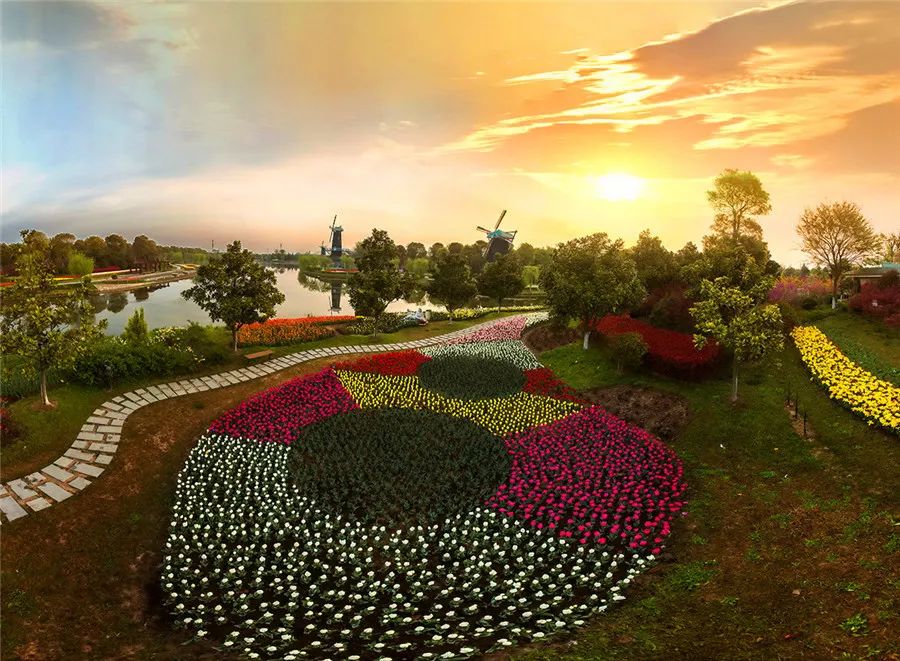 愿花开"疫"去,山河无恙.地址:上海市浦东新区书院镇东海农场振东路2号