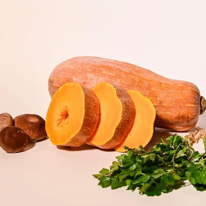 冬瓜和南瓜 来自搜狐网