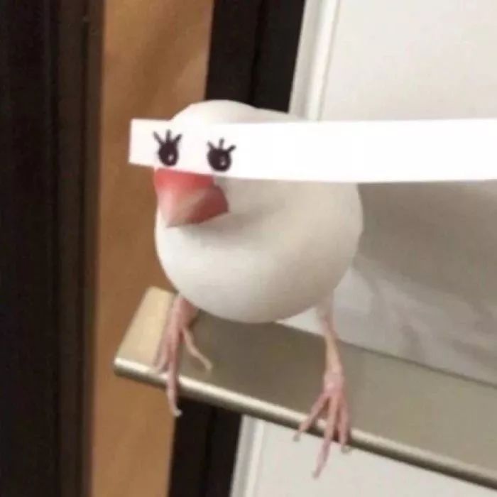 情侣头像个性情侣头像