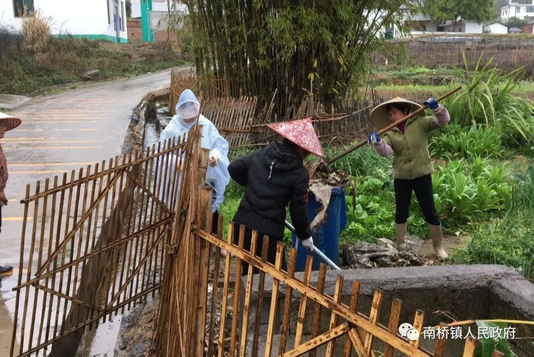 南桥镇美丽村庄干干净净驱瘟除疫清清爽爽