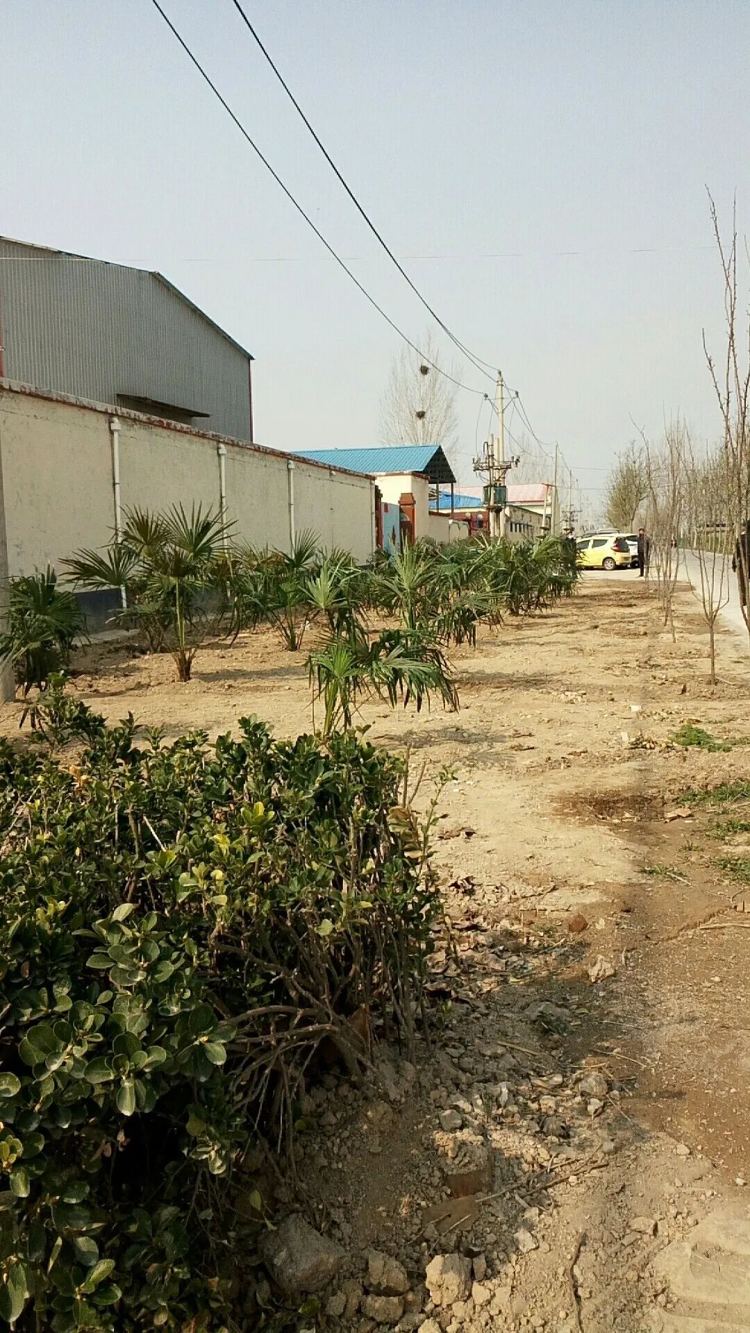 大块镇抗击疫情共克时艰专题报道二十三