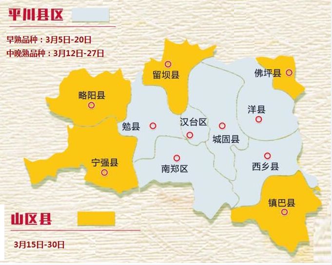 勉县地图行政区划图片
