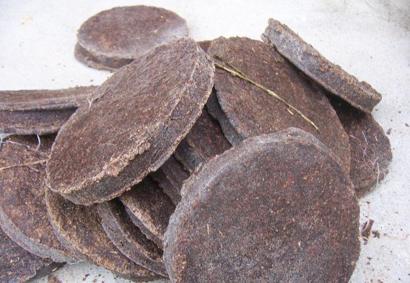 原创农村优先发展已是趋势不想打工的农民做啥好以下项目不妨看看