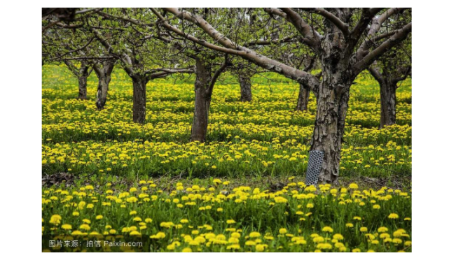⑨magdeleine:免费高清灵感系图片网,可以通过颜色,情绪寻找图片;⑩