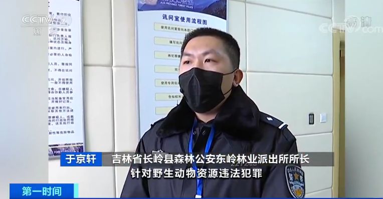 当日,吉林省森林公安局,长岭县森林公安大队,连同永久派出所,永久镇
