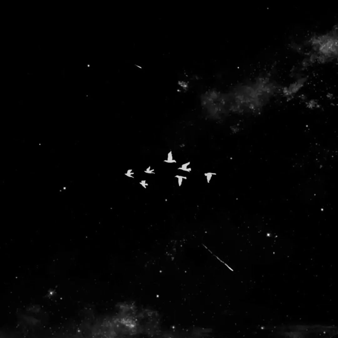 朋友圈背景图 | 春三月