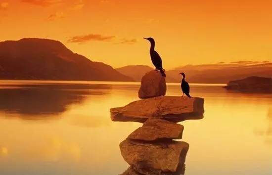 一个好的心态,可以使你战胜面临的苦难;一个好的心态,可以使你淡泊