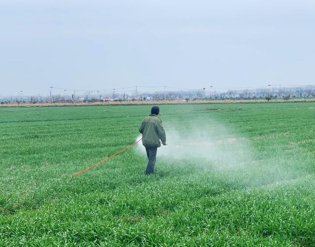 图:王梦劼眼下正值春耕备耕时节江宁的"农业大户们"都在忙些什么呢?