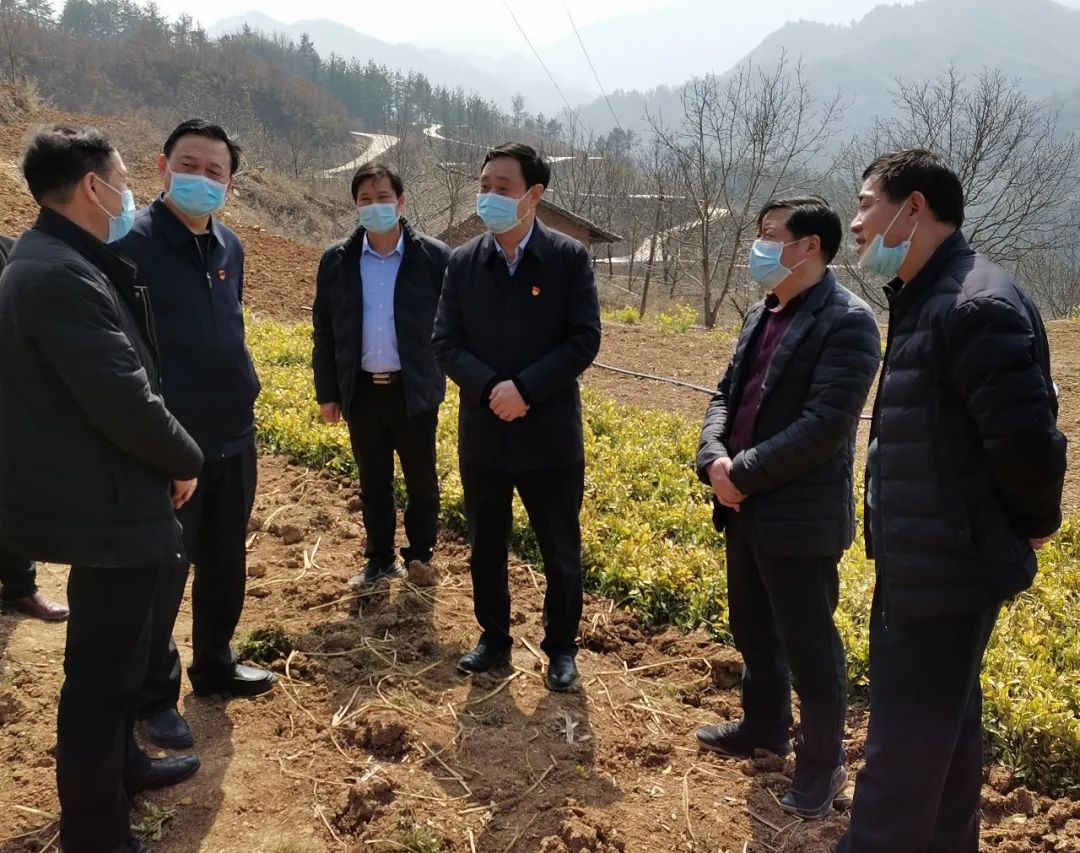 许水兆底线任务要完成成色质量要提升做到疫情防控不放松脱贫攻坚要打