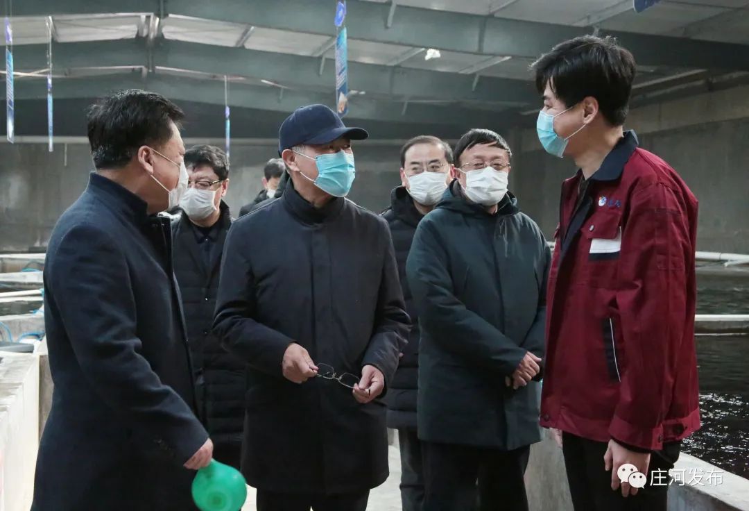 大连市委常委副市长骆东升来庄河市调研疫情防控和农业生产工作