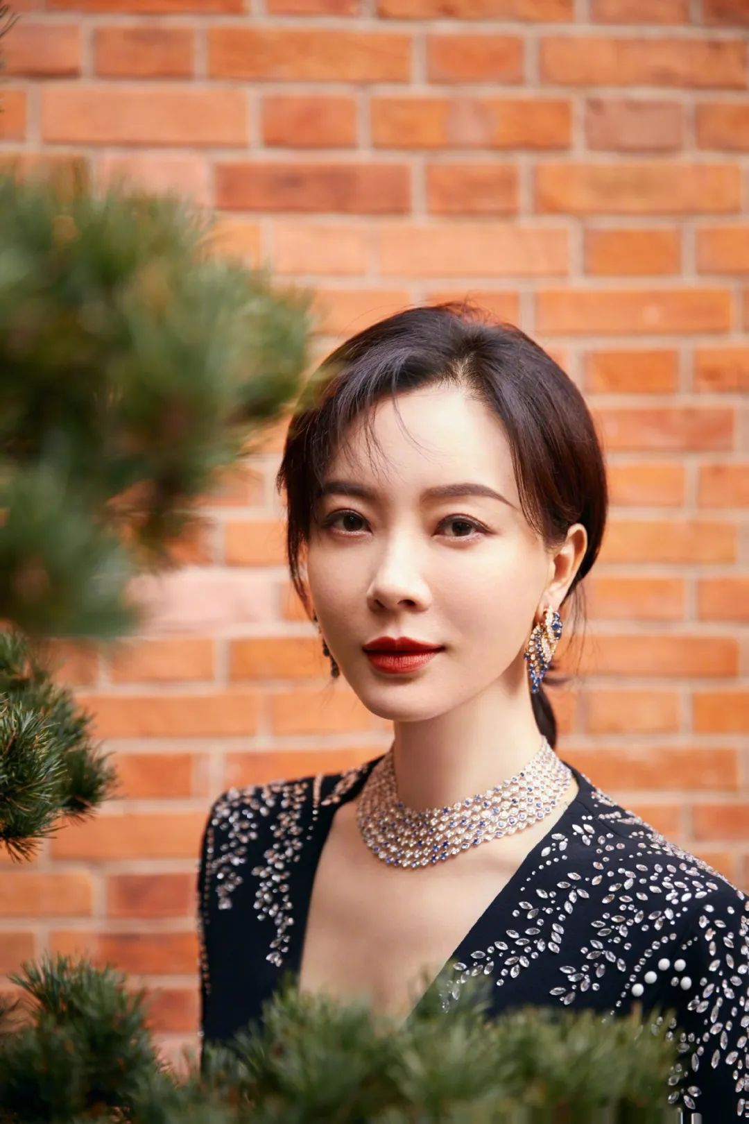 砸车怼小三43岁陈数就这样成了全网最a的女人