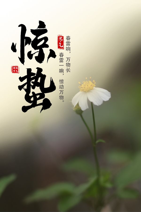 惊蛰| 春雷响,万物长_雷声