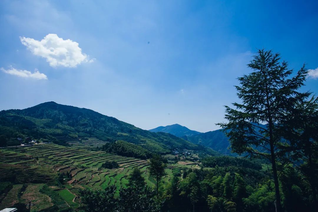 龍門秘境 / 臨安松韻人家客棧隱藏在雲海與山林之間,晚上清靜舒適,是