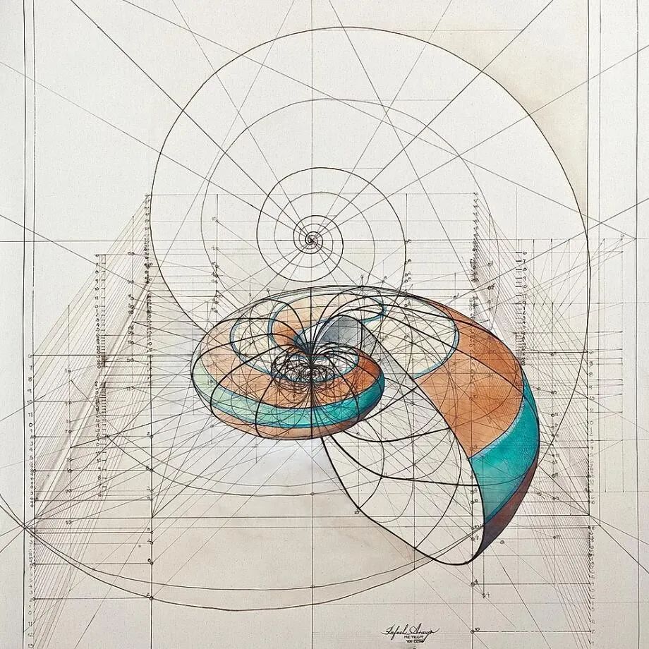 看大触如何手绘黄金比例结构图形