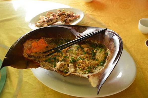 鲎一个长相奇葩血液呈蓝色的活化石它何时能离开人类的餐桌