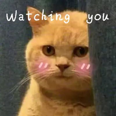 国舞剧场和她的朋友们分享会第一弹在你不知不觉之间wearewatchingyou