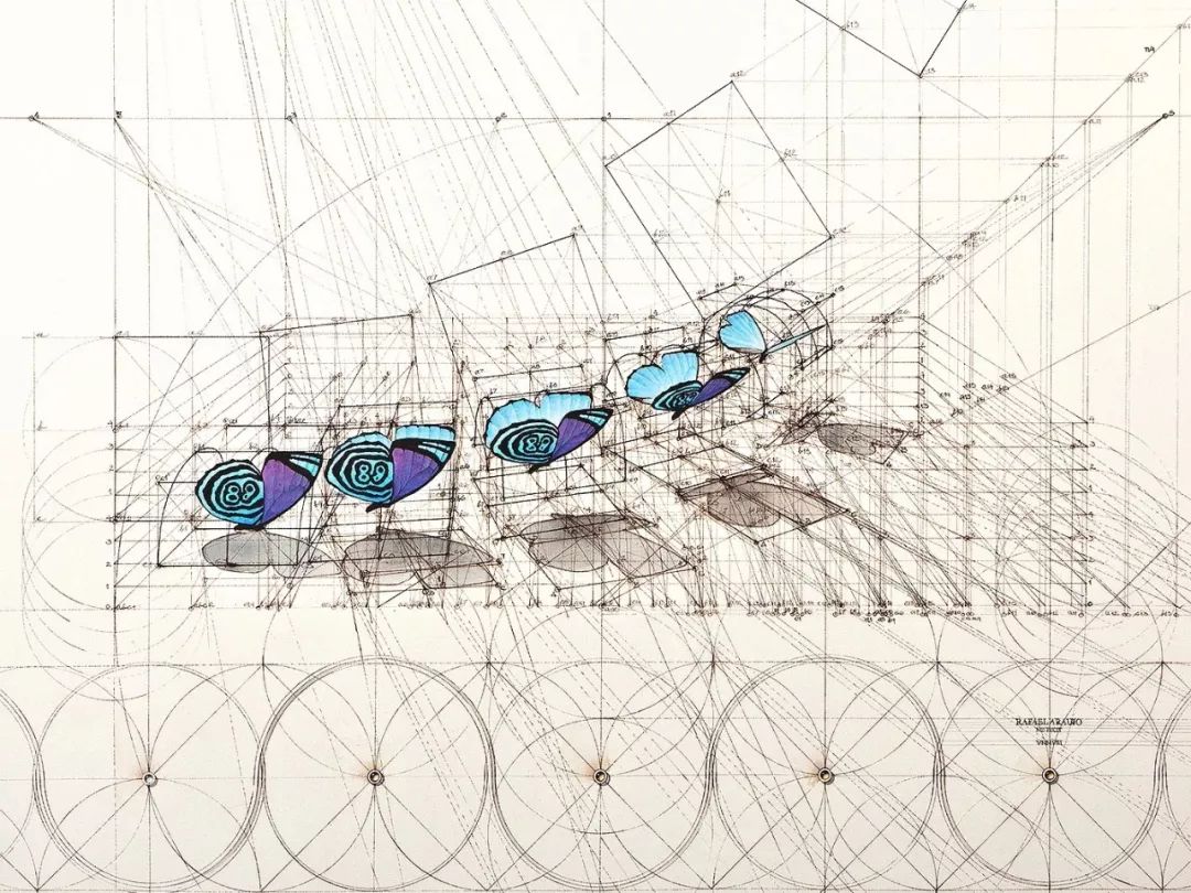 看大觸如何手繪黃金比例結構圖形_設計