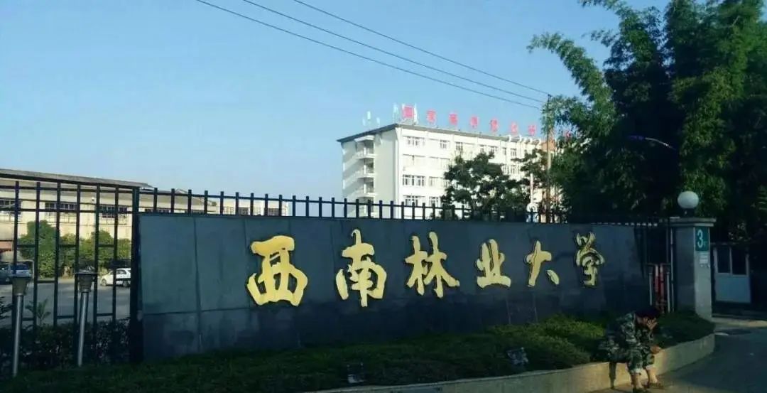 年北京林学院迁回北京,学校变更为云南林学院,1983年更名为西南林学院