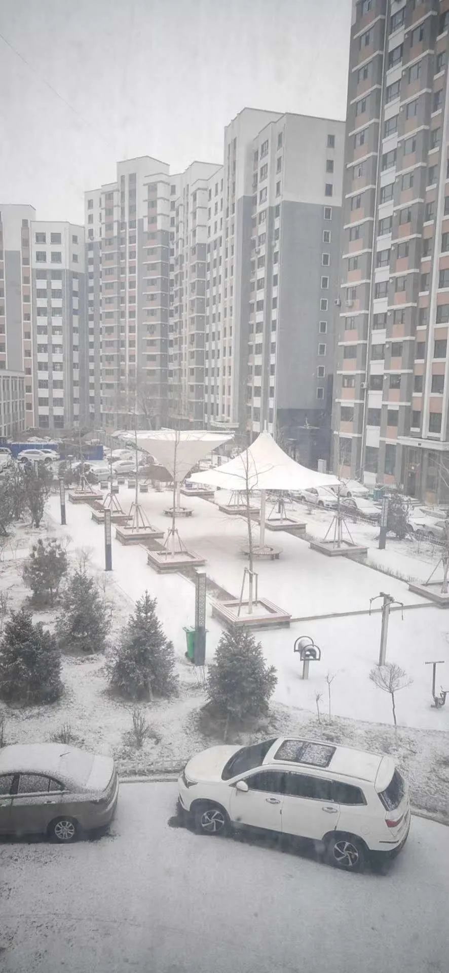 山城雪景张家口突降大雪未来几天的天气是