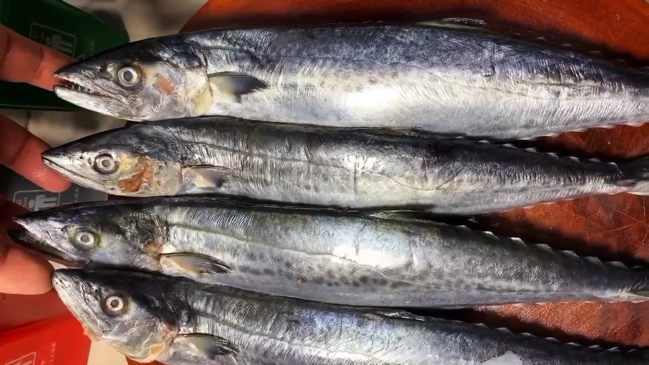 原創紅燒鮁魚肉質鮮美入味營養豐富漁民極其認可的一種吃法