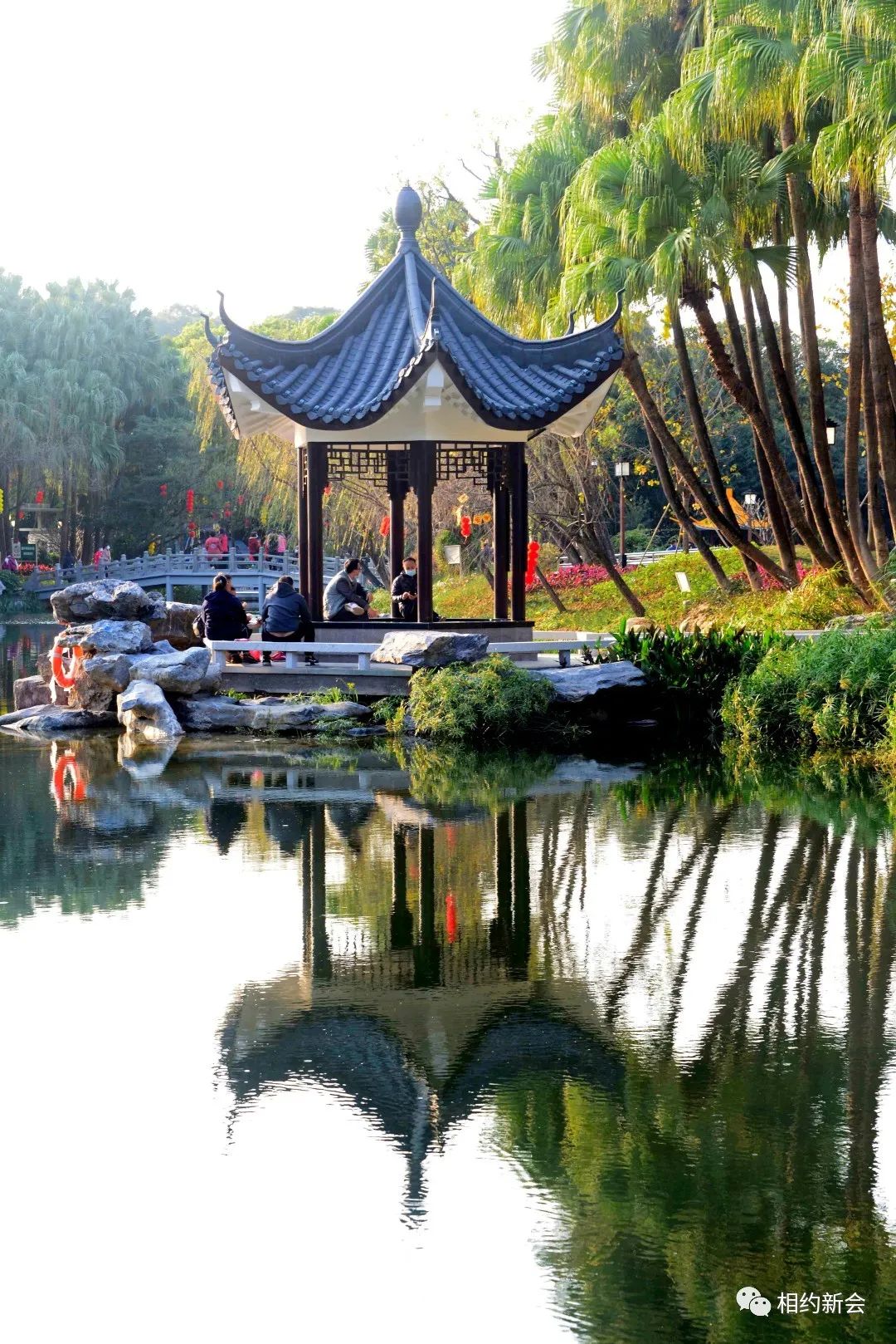 【春暖花开】阴霾终将散去,新会的春天,如约而至