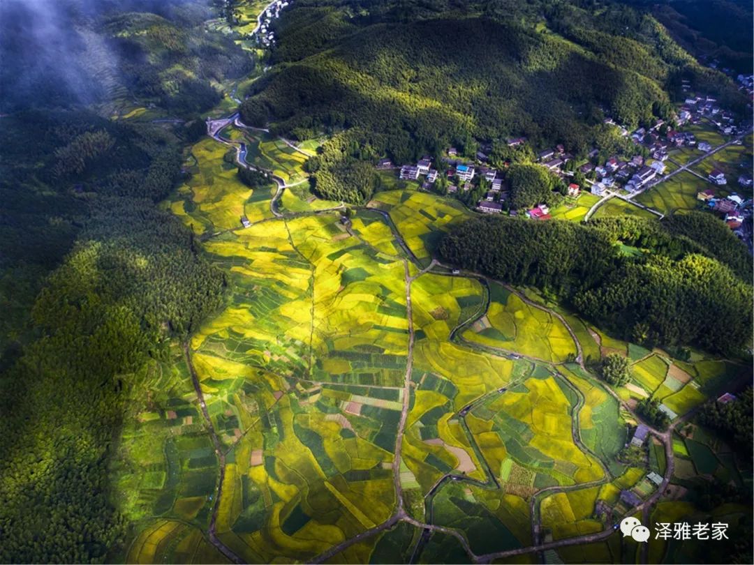 在吗泽雅北林垟的油菜花开了