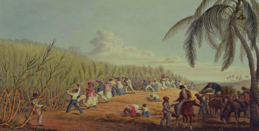 能救命的食物——玉米和番薯,起源于美洲,却与中国结下不解之缘_殖民