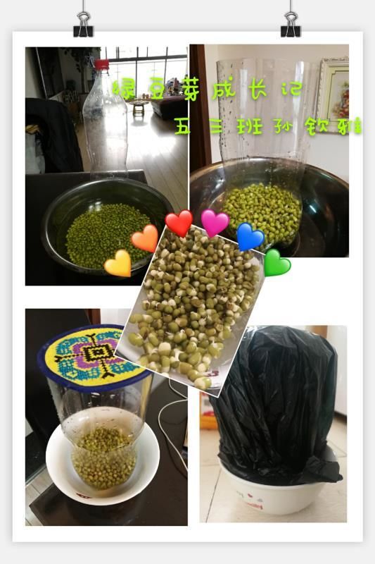 停课不停学莲华小学第一周线上科学教学回顾非常时期