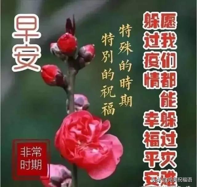 年3月6日周三最新早上好漂亮祝福图片暖心早安问候语简短 乐逍遥