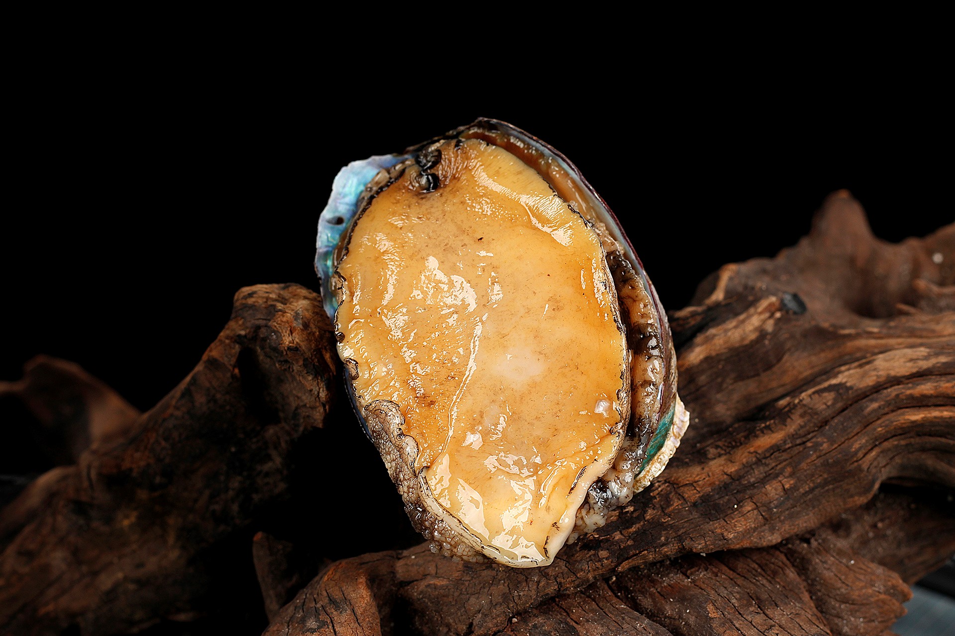 比起双黄连连花清瘟吃鲍鱼更有益健康