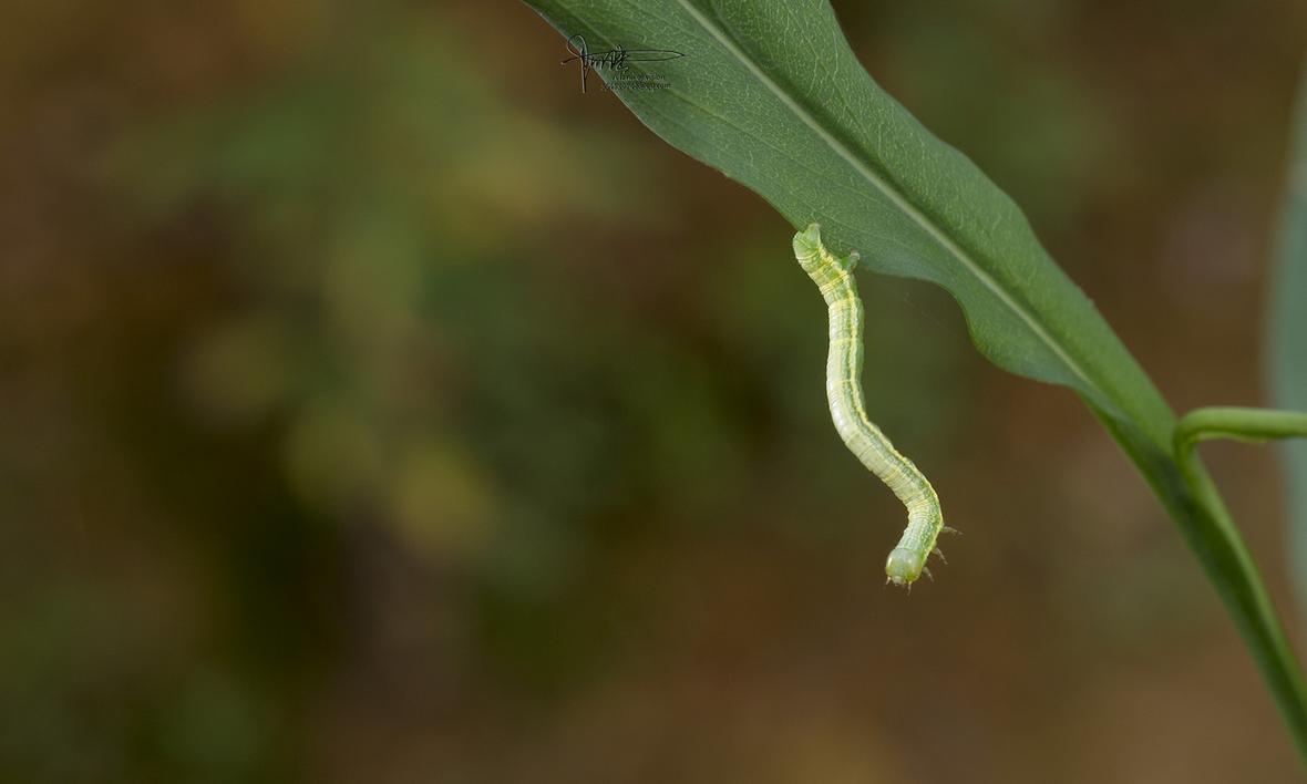 阿陆space的个人展示页