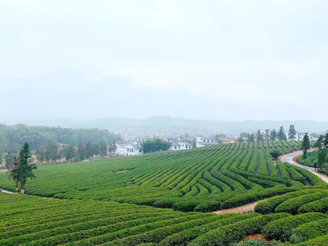 广信区3个村获国字号金名片你的家乡上榜了吗