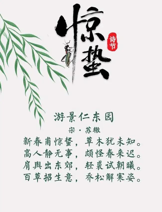 氨基酸洁面乳：温和护肤新时代