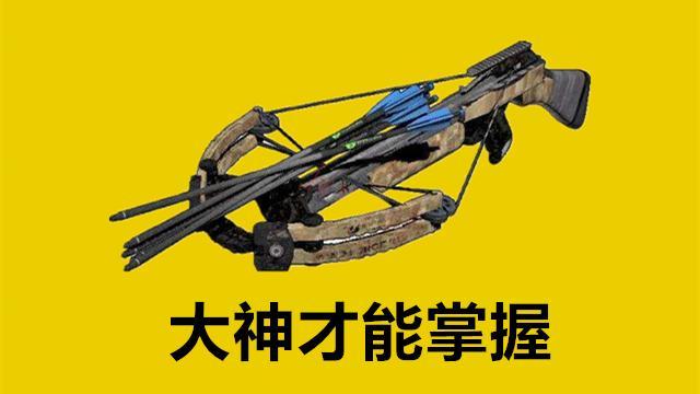 最后要说的难度极高的枪械搭配是用"十字弩"搭配任意武器,它作为"使用