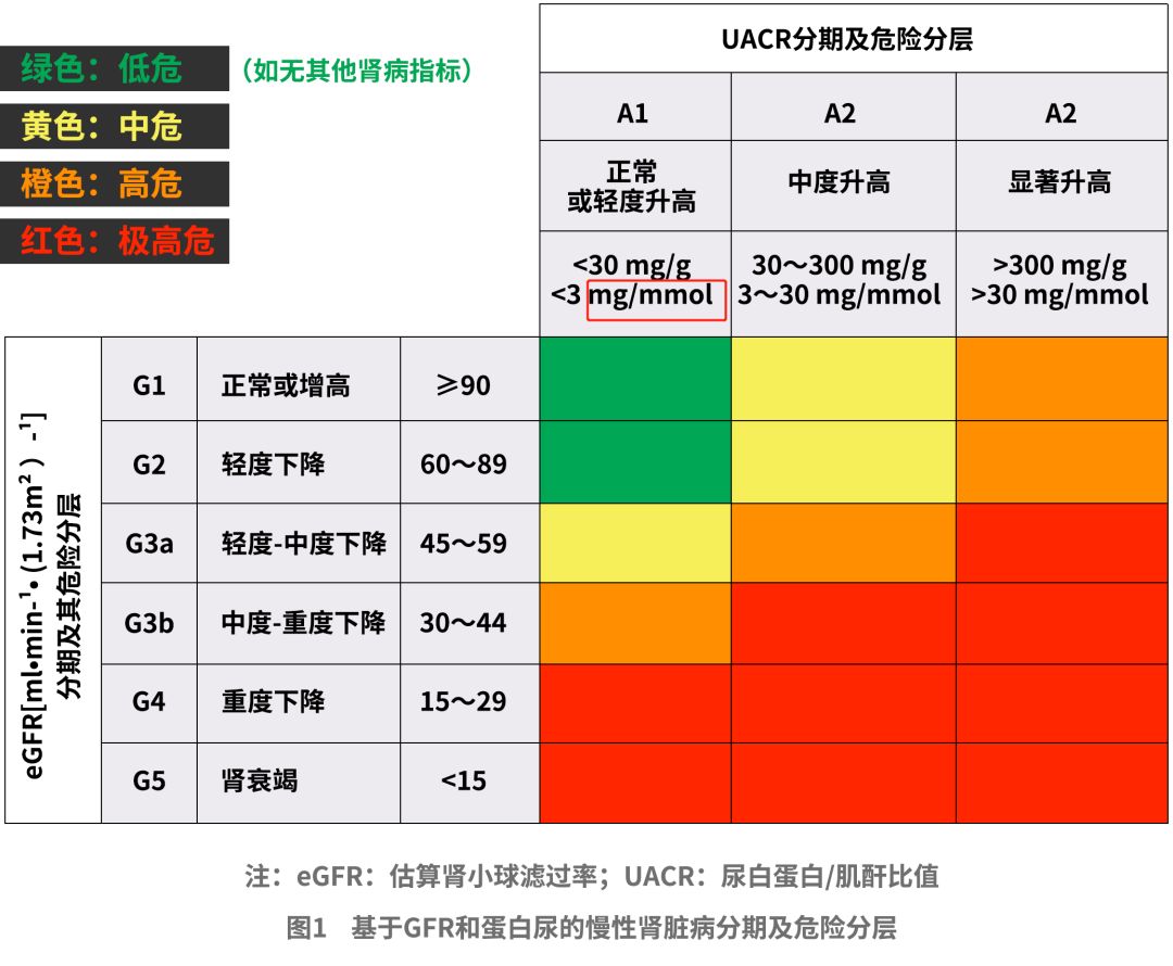 肾功能不全分期图片