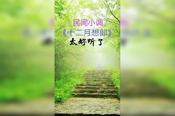 民间小调十二月想郎太好听分享给大家