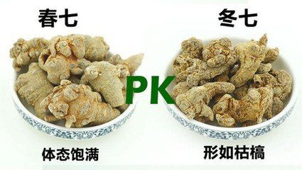 功能主治:散瘀止