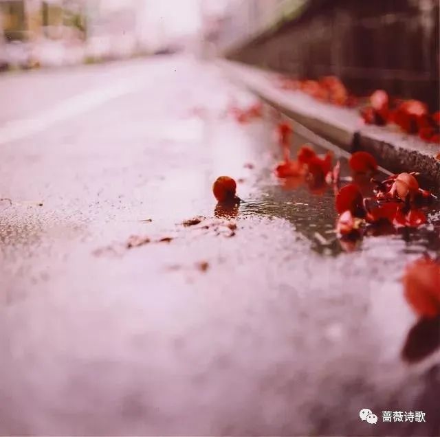 断的情,刻就着一场天荒地老,相守天涯,丰盈岁月,绽放今生痴念画中情缘