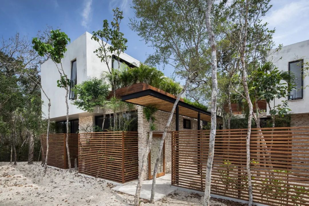 于树木间的房子